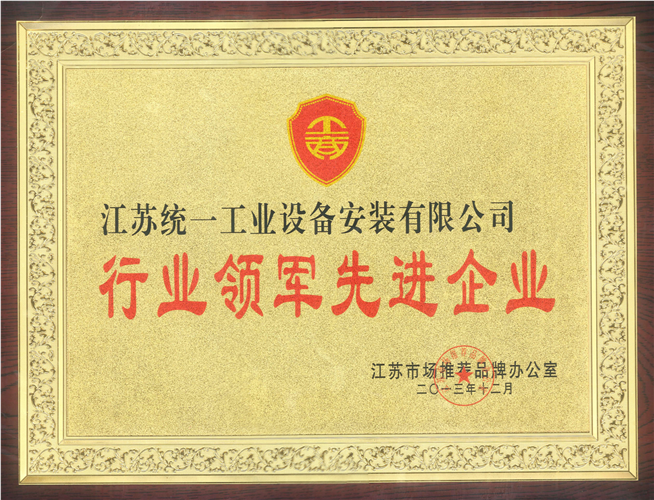 行業(yè)領(lǐng)軍先進(jìn)企業(yè)獎牌（2013.12）