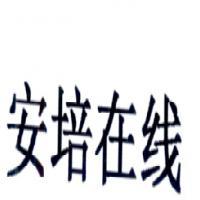 合肥朗霽軟件技術(shù) 專業(yè)計算機軟件咨詢服務(wù)解析